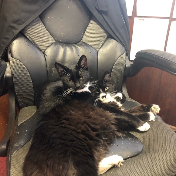 Meet your Posher, Static - Picture 9 of 16